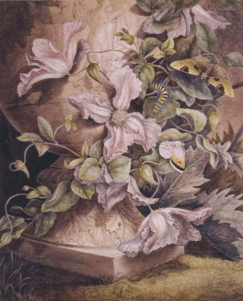 Mrs Theodore Henry Fielding Still-life (mk47) China oil painting art